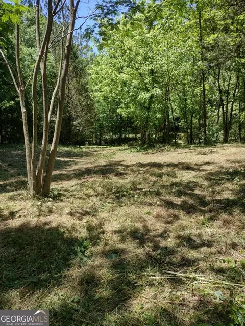 620 Roy Bird Rd, Rock Spring, GA 30739 photo 2
