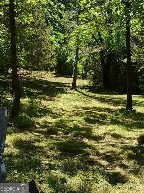 620 Roy Bird Rd, Rock Spring, GA 30739 photo 9