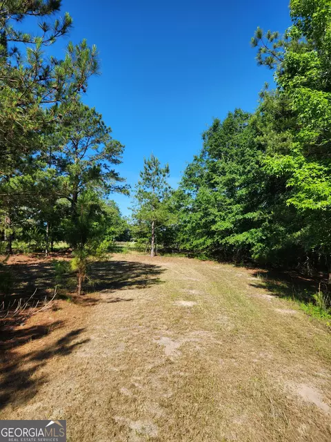 1383 Paul Lord Rd, Wrightsville, GA 31096