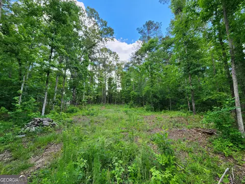 lot165 Sycamore Dr, Sparta, GA 31087