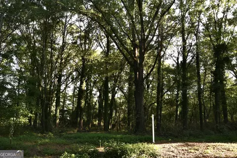 Tract 2 Hwy 213, Mansfield, GA 30055