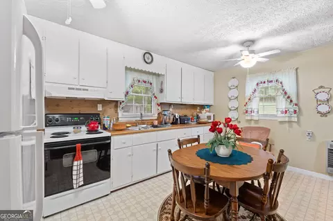 257 Thomas Ferry Rd, Jackson, GA 30233 photo 12