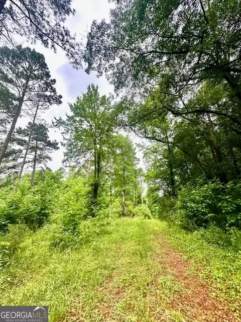 700 Madison St, Comer, GA 30629 photo 27