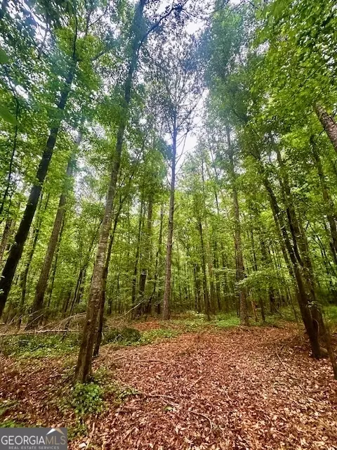 700 Madison St, Comer, GA 30629 photo 9