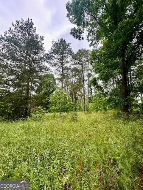 700 Madison St, Comer, GA 30629 photo 25