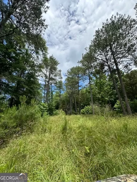 700 Madison St, Comer, GA 30629 photo 63