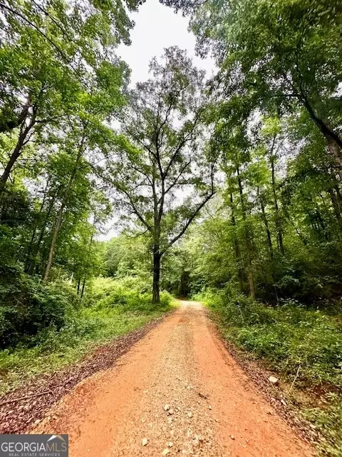 700 Madison St, Comer, GA 30629 photo 33