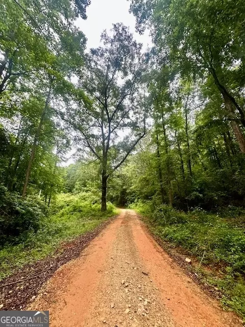 700 Madison St, Comer, GA 30629 photo 5