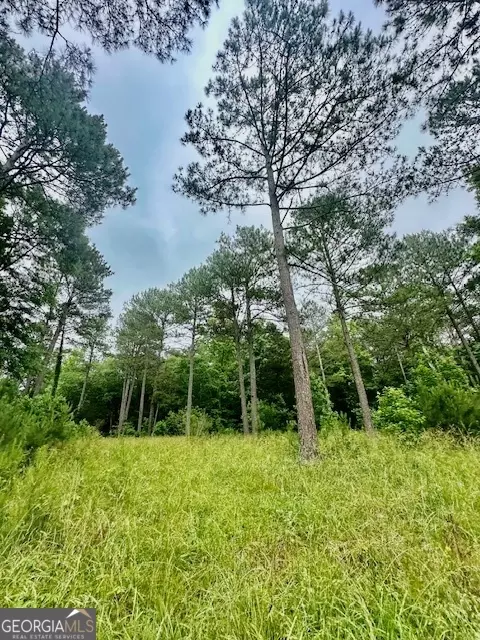 700 Madison St, Comer, GA 30629 photo 2