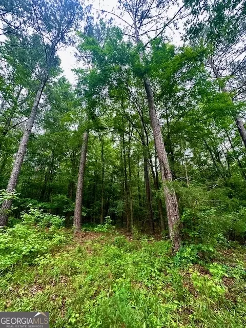 700 Madison St, Comer, GA 30629 photo 3
