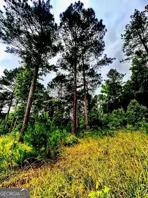 700 Madison St, Comer, GA 30629 photo 24