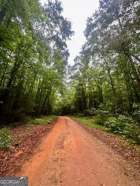 700 Madison St, Comer, GA 30629 photo 6
