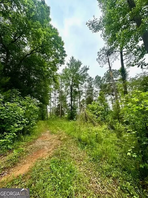 700 Madison St, Comer, GA 30629 photo 30