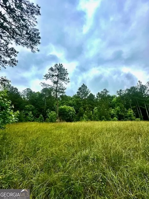 700 Madison St, Comer, GA 30629 photo 15