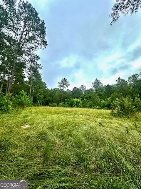 700 Madison St, Comer, GA 30629 photo 11