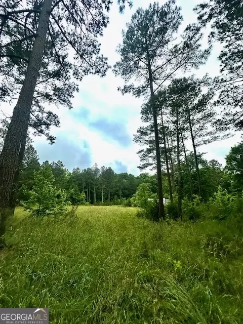 700 Madison St, Comer, GA 30629 photo 14