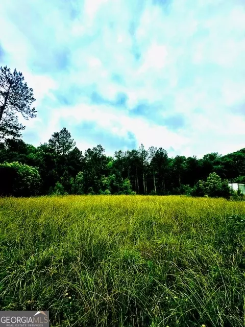 700 Madison St, Comer, GA 30629 photo 16