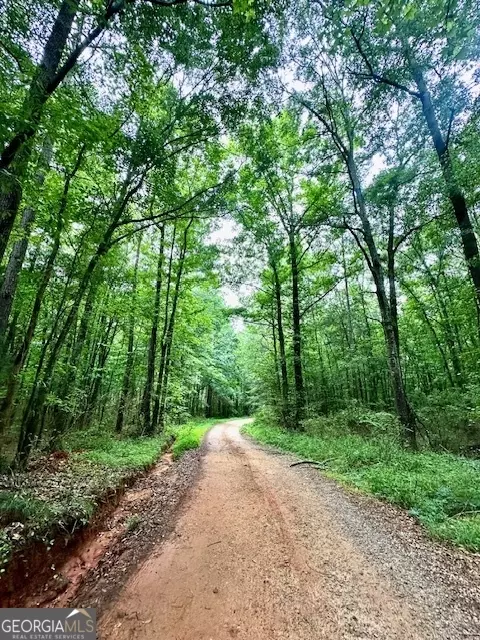 700 Madison St, Comer, GA 30629 photo 42