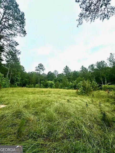 700 Madison St, Comer, GA 30629 photo 12