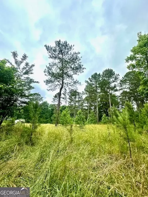 700 Madison St, Comer, GA 30629 photo 23