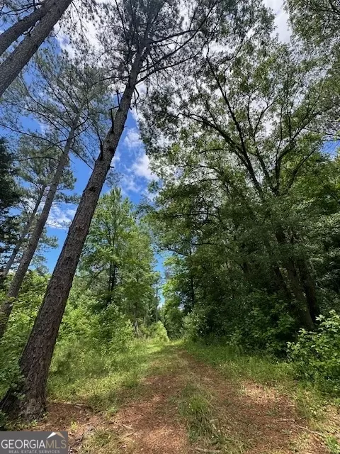 700 Madison St, Comer, GA 30629 photo 62
