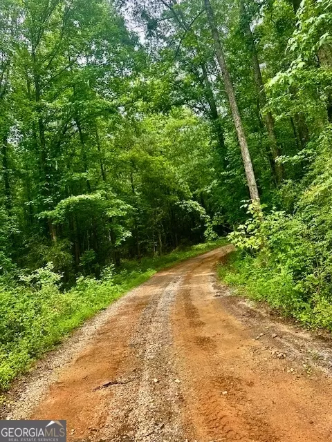 700 Madison St, Comer, GA 30629 photo 41