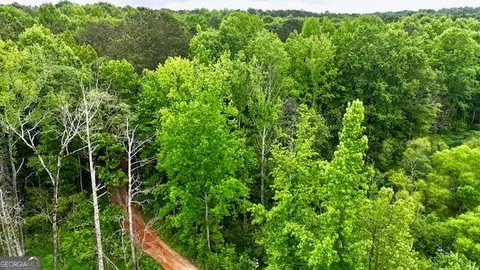 700 Madison St, Comer, GA 30629 photo 46