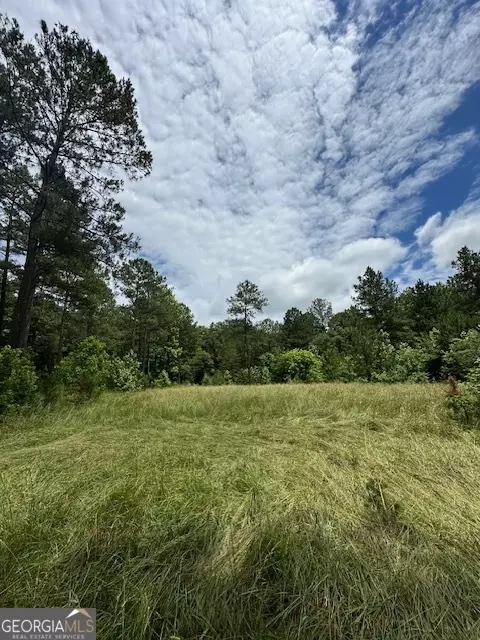 700 Madison St, Comer, GA 30629 photo 64