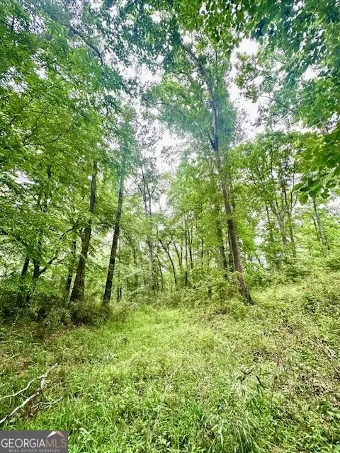 700 Madison St, Comer, GA 30629 photo 18