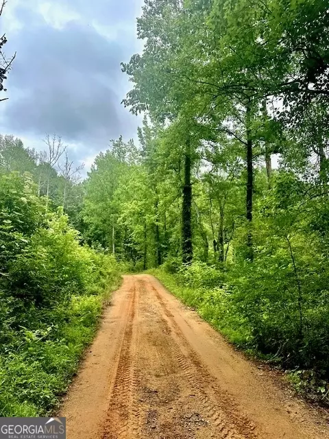 700 Madison St, Comer, GA 30629 photo 40