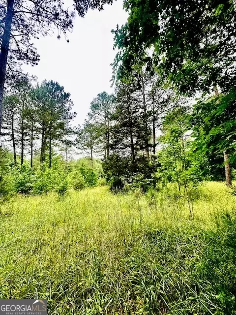 700 Madison St, Comer, GA 30629 photo 26