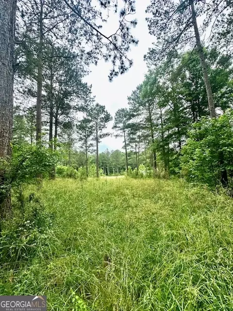 700 Madison St, Comer, GA 30629 photo 13