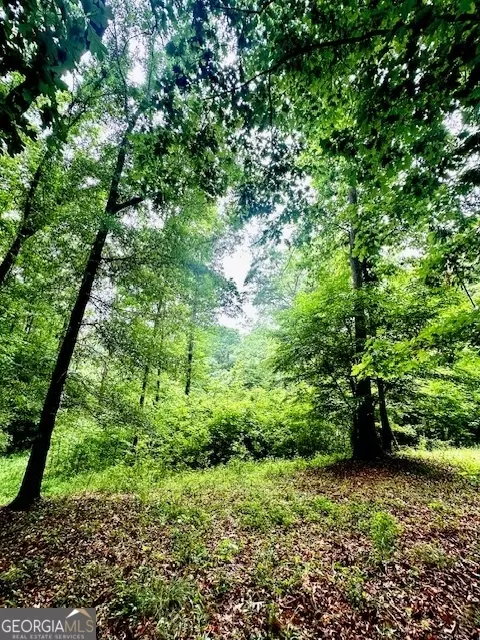 700 Madison St, Comer, GA 30629 photo 17