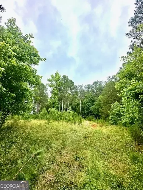 700 Madison St, Comer, GA 30629 photo 22