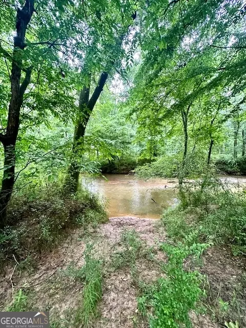 700 Madison St, Comer, GA 30629 photo 20
