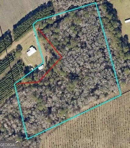 0 Little Dirt Rd, Claxton, GA 30417