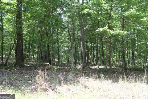 117 Wolfden Branch Rd, Warm Springs, GA 31830