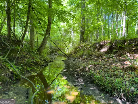 0 Dixon Rd, Sparta, GA 31087
