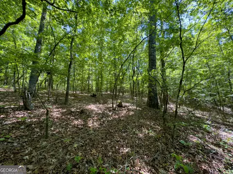 2182 Bostic Mill Rd, Bartow, GA 30413 photo 22