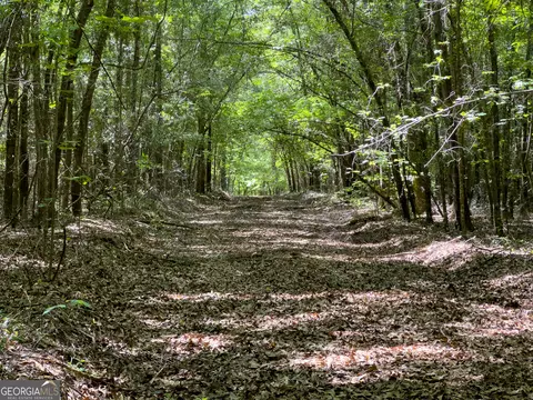 2182 Bostic Mill Rd, Bartow, GA 30413 photo 20