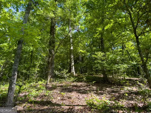 2182 Bostic Mill Rd, Bartow, GA 30413 photo 30