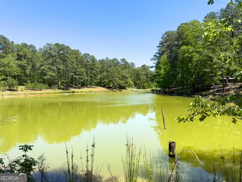 2182 Bostic Mill Rd, Bartow, GA 30413 photo 18