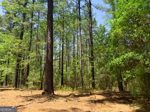 2182 Bostic Mill Rd, Bartow, GA 30413 photo 11