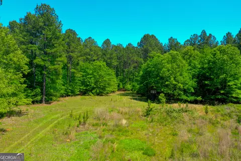 2182 Bostic Mill Rd, Bartow, GA 30413 photo 8