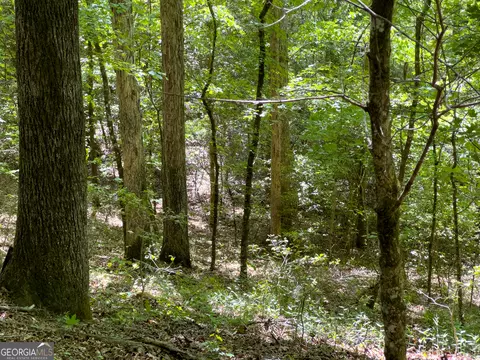 2182 Bostic Mill Rd, Bartow, GA 30413 photo 31