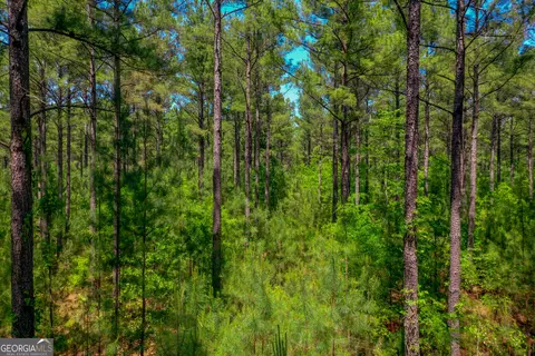2182 Bostic Mill Rd, Bartow, GA 30413 photo 2