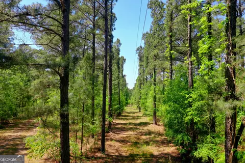 2182 Bostic Mill Rd, Bartow, GA 30413 photo 5