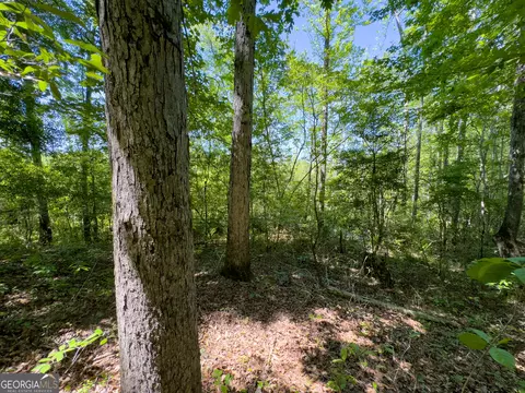 2182 Bostic Mill Rd, Bartow, GA 30413 photo 26