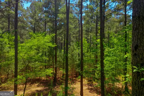 2182 Bostic Mill Rd, Bartow, GA 30413 photo 4