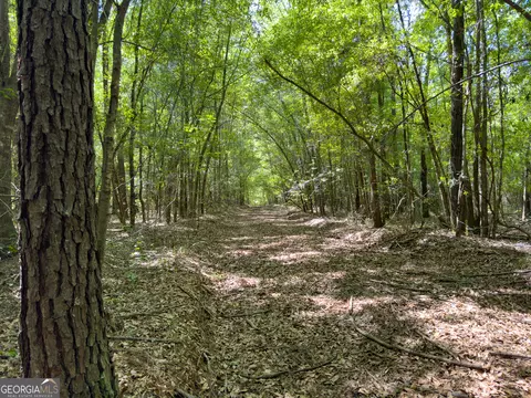 2182 Bostic Mill Rd, Bartow, GA 30413 photo 19
